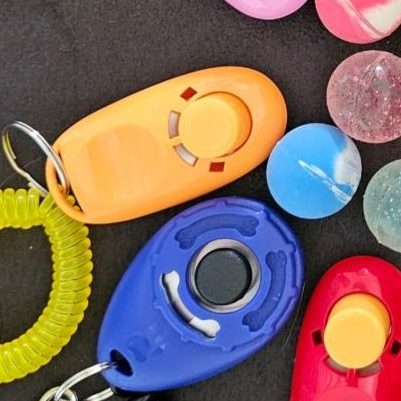 Banner Clicker Seminar